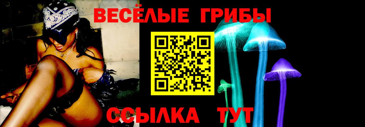 цена   Галлюциногенные грибы прущие грибы  Вход с VPN  Галлюциногенные грибы MAGIC MUSHROOMS  Тимашёвск 